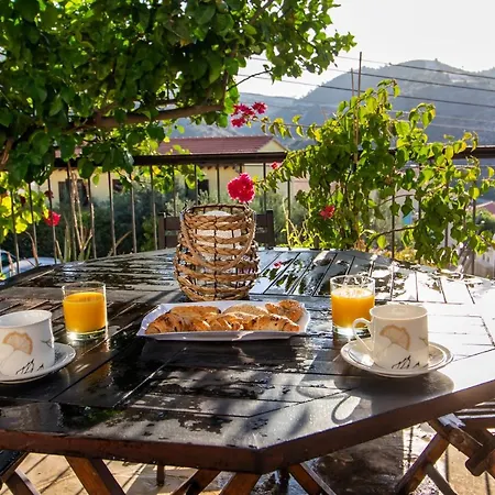 Daire View Traditional