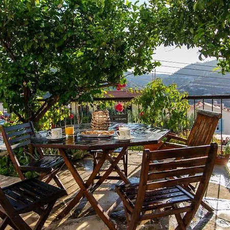 View Traditional דירה קאלאבסוס
